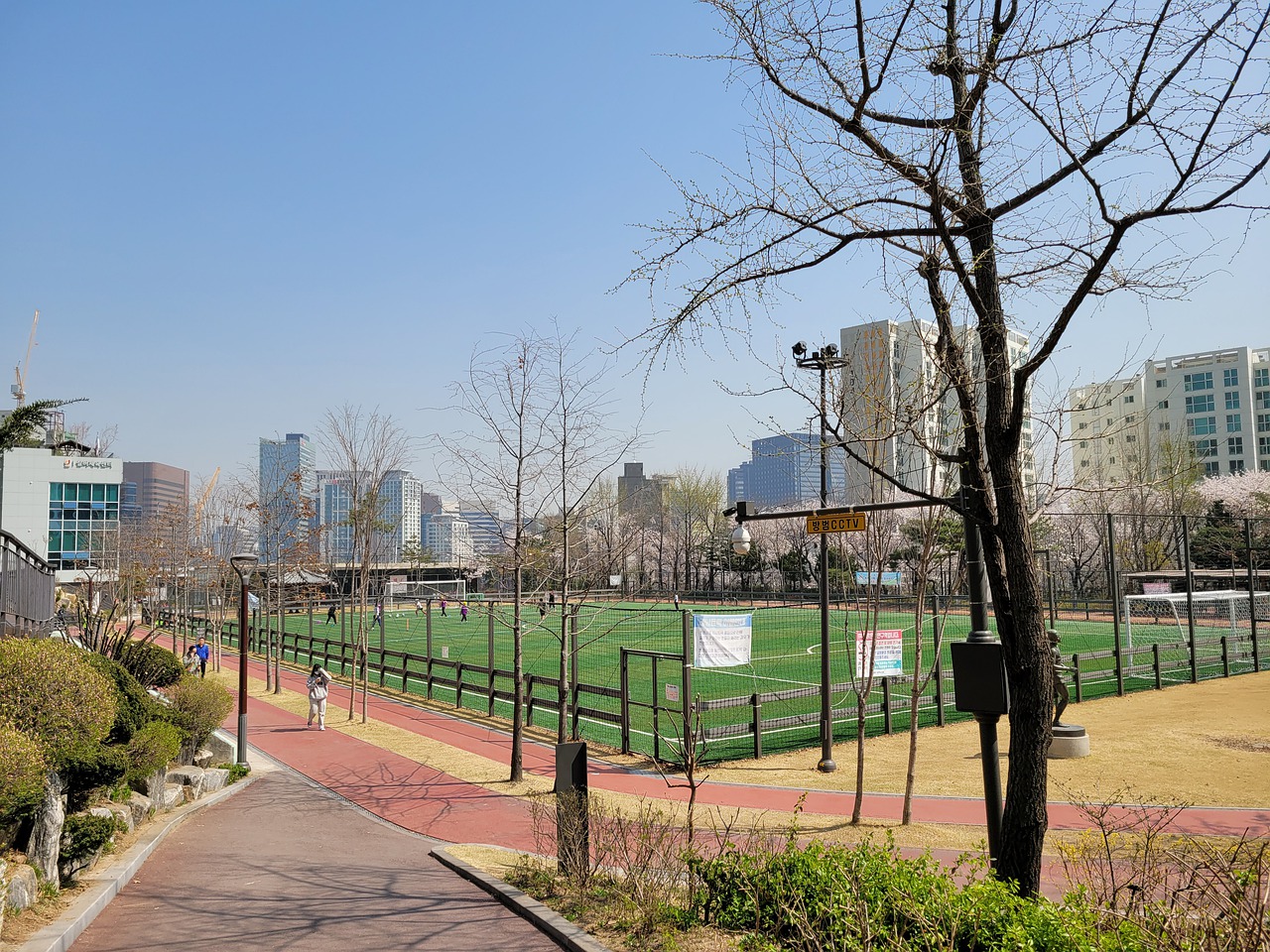 对于年轻球 对于年轻球