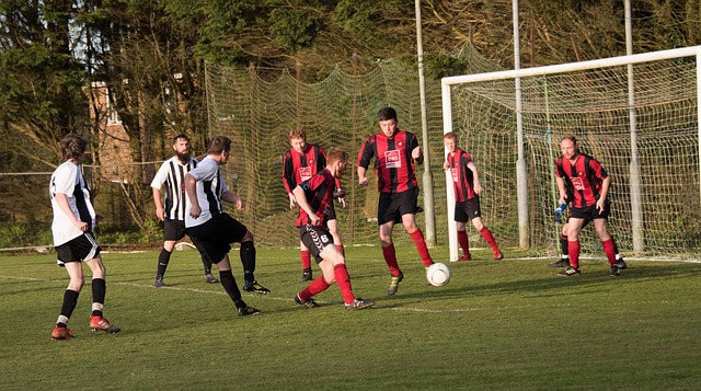 自身的专业 自身的专业