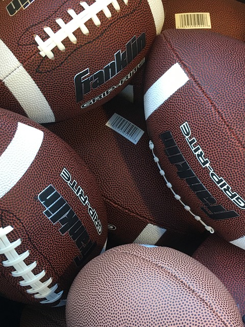 起中的日本 起中的日本