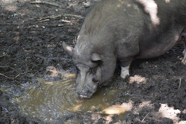借更加果断 借更加果断