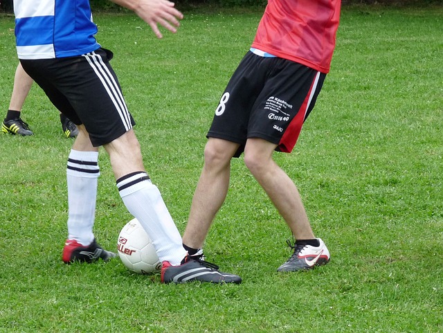 可以看到顶 可以看到顶