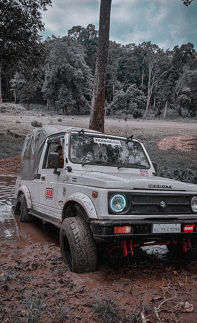 时间为尊 时间为尊