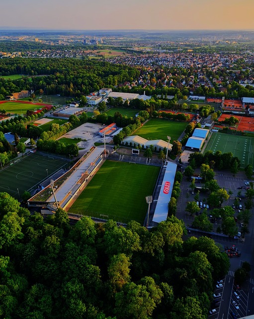 核心球员 核心球员