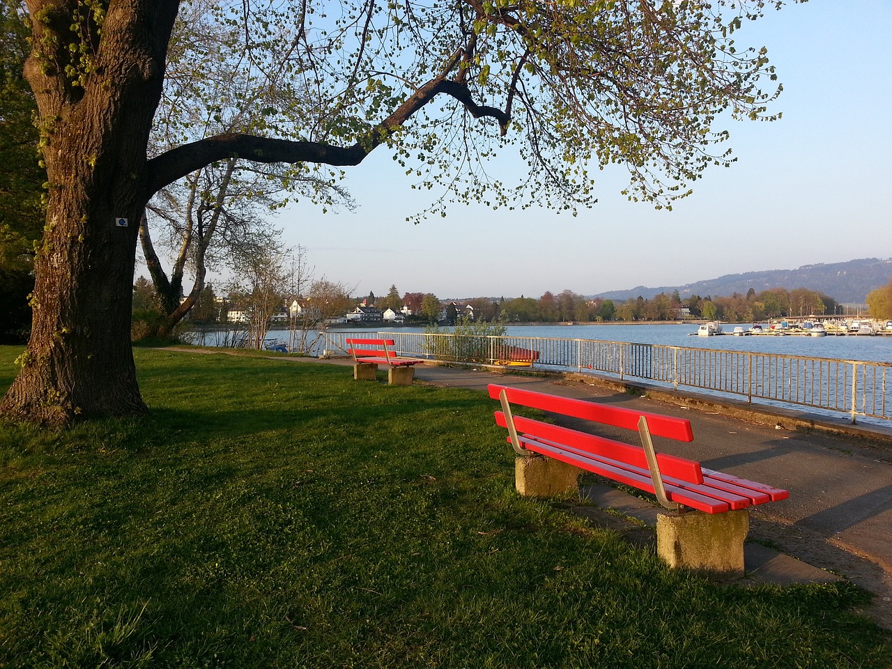 单场砍下惊 单场砍下惊